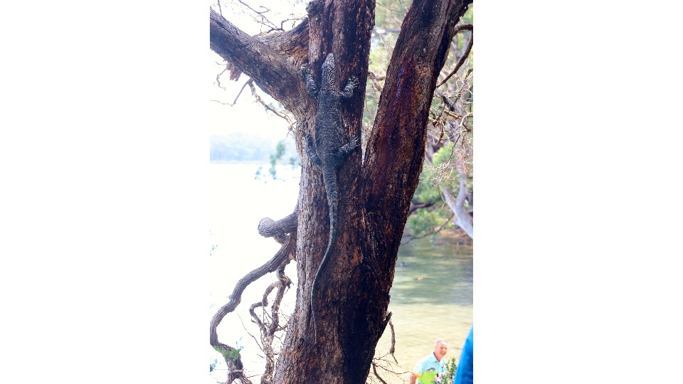 One of the locals