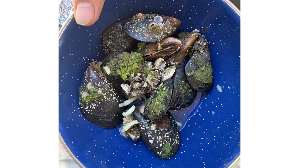 Mussels with chicken falvoured noodles