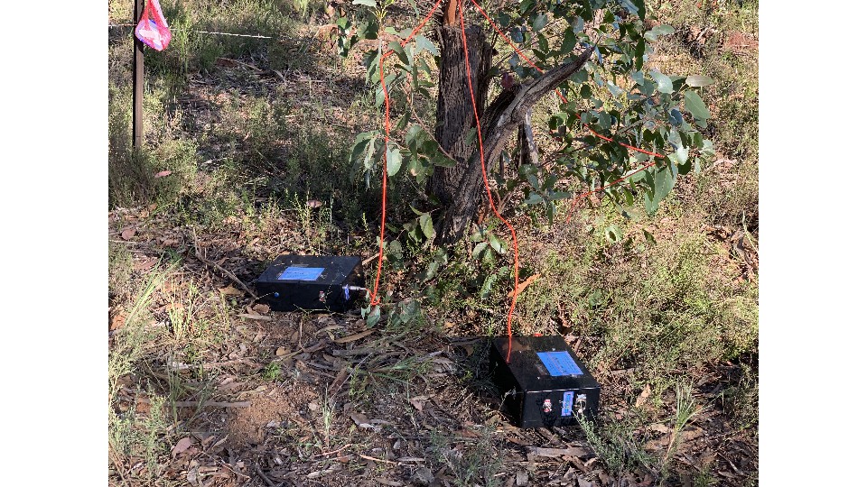 Borg Mass assimalation devices